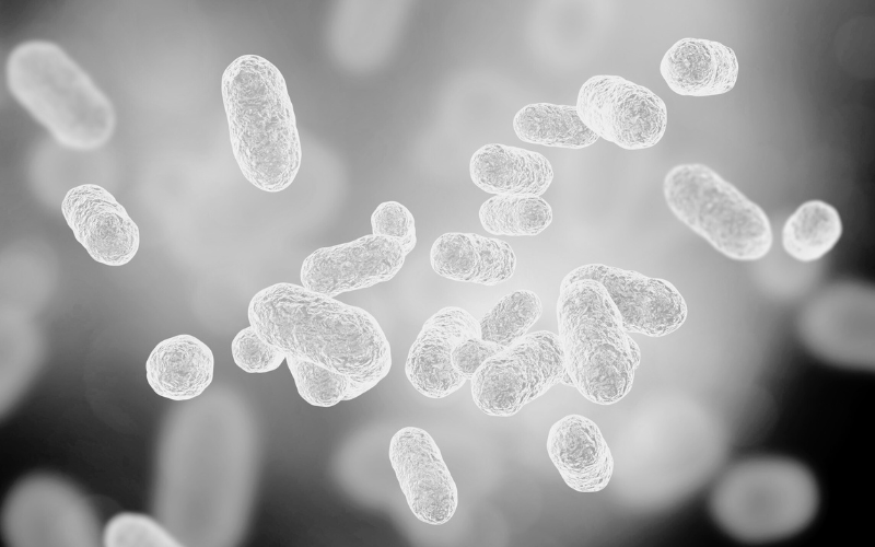 ¿Cómo influye la microbiota en la fertilidad femenina y masculina?